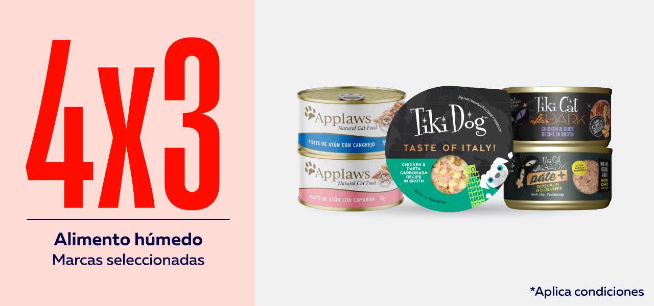 Alimento húmedo