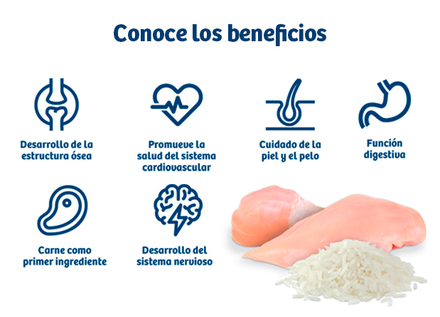 COMBINA ALIMENTO SECO Y HÚMEDO PARA UNA ALIMENTACIÓN ÓPTIMA