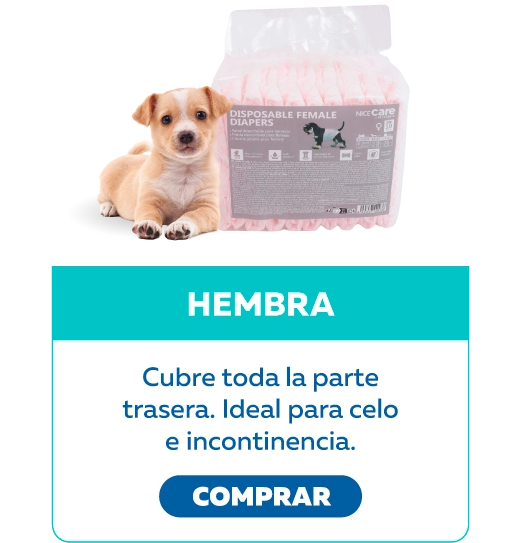 Pañales hembra