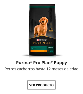 Por edad