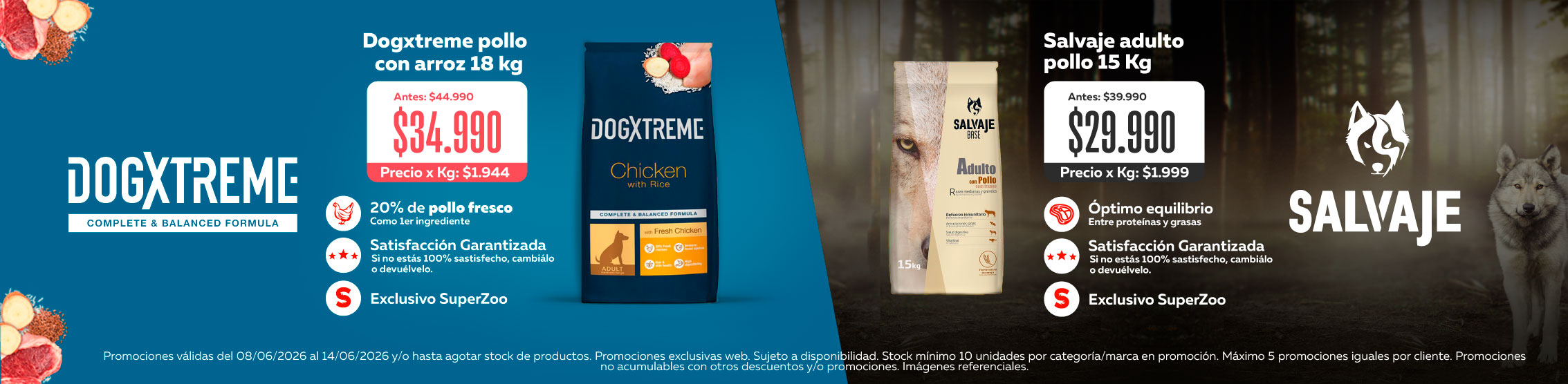 Invierno Salvaje y Dogxtreme