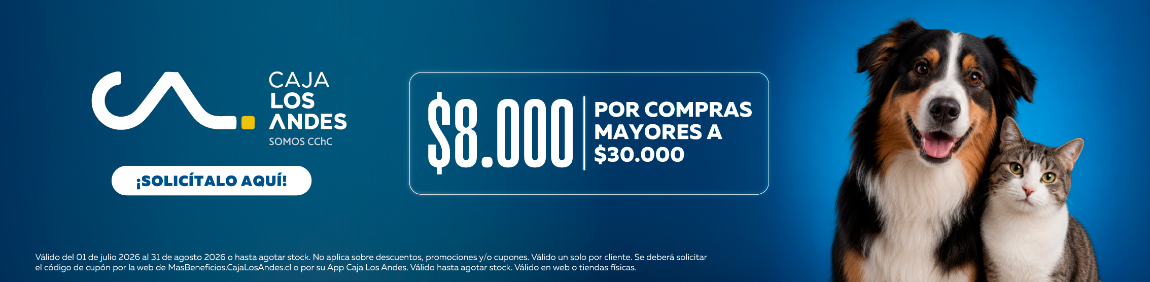 Caja los andes