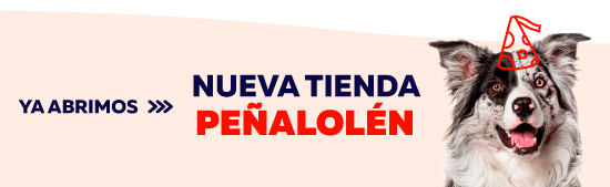 Tiendas Nuevas Tiendas Nuevas