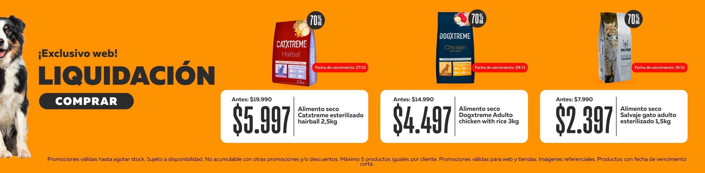 precios bomba