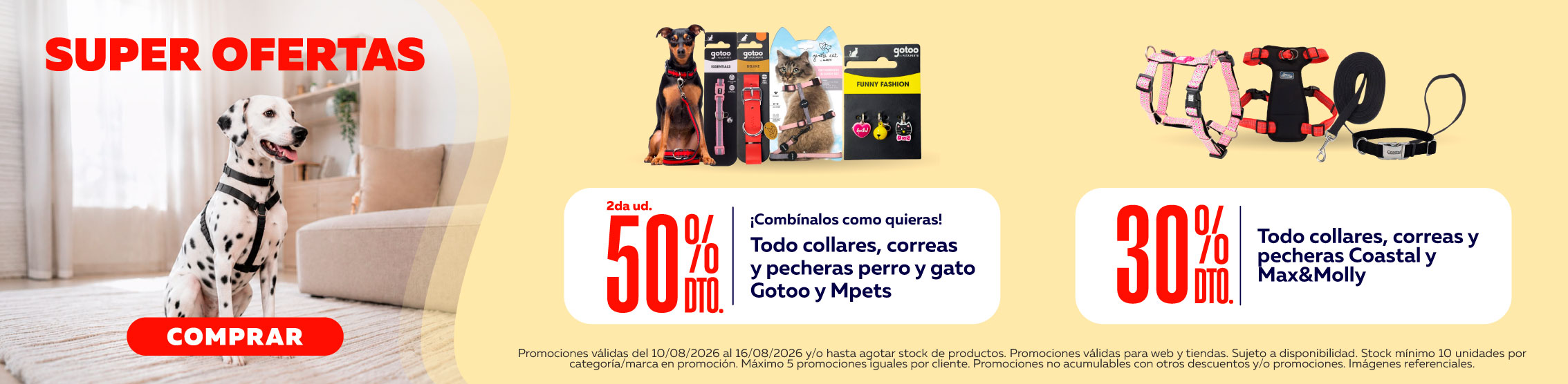 Semana del gato correas