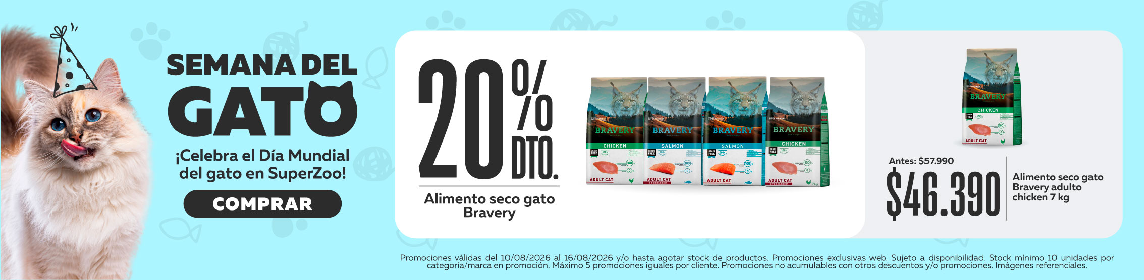 Semana del gato bravery