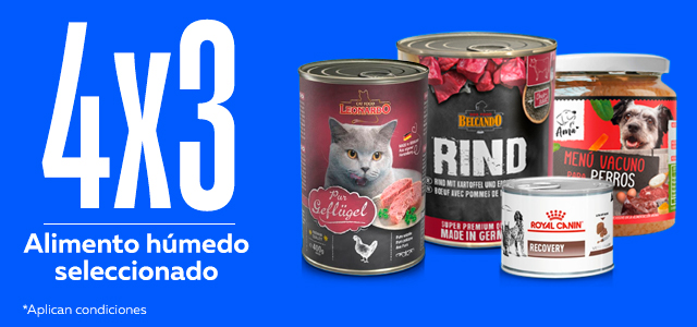 4x3 Ofertas Cyber alimento húmedo