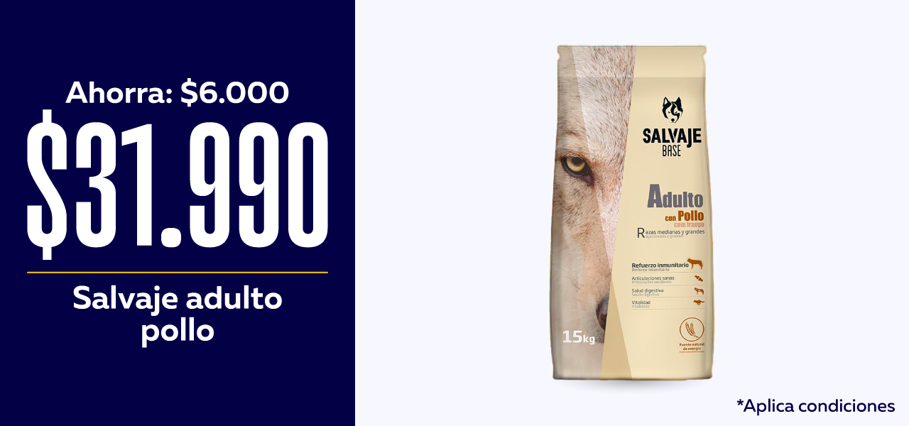 Salvaje adulto pollo