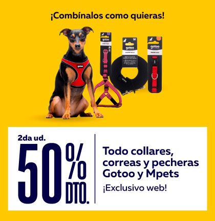 Correas