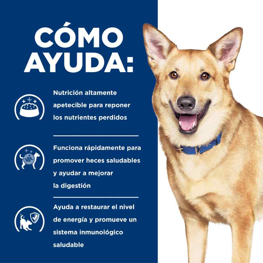 Hill's Prescription Diet Cuidado Digestivo Alimento Húmedo para perros pequeños 156 GR, , large image number null
