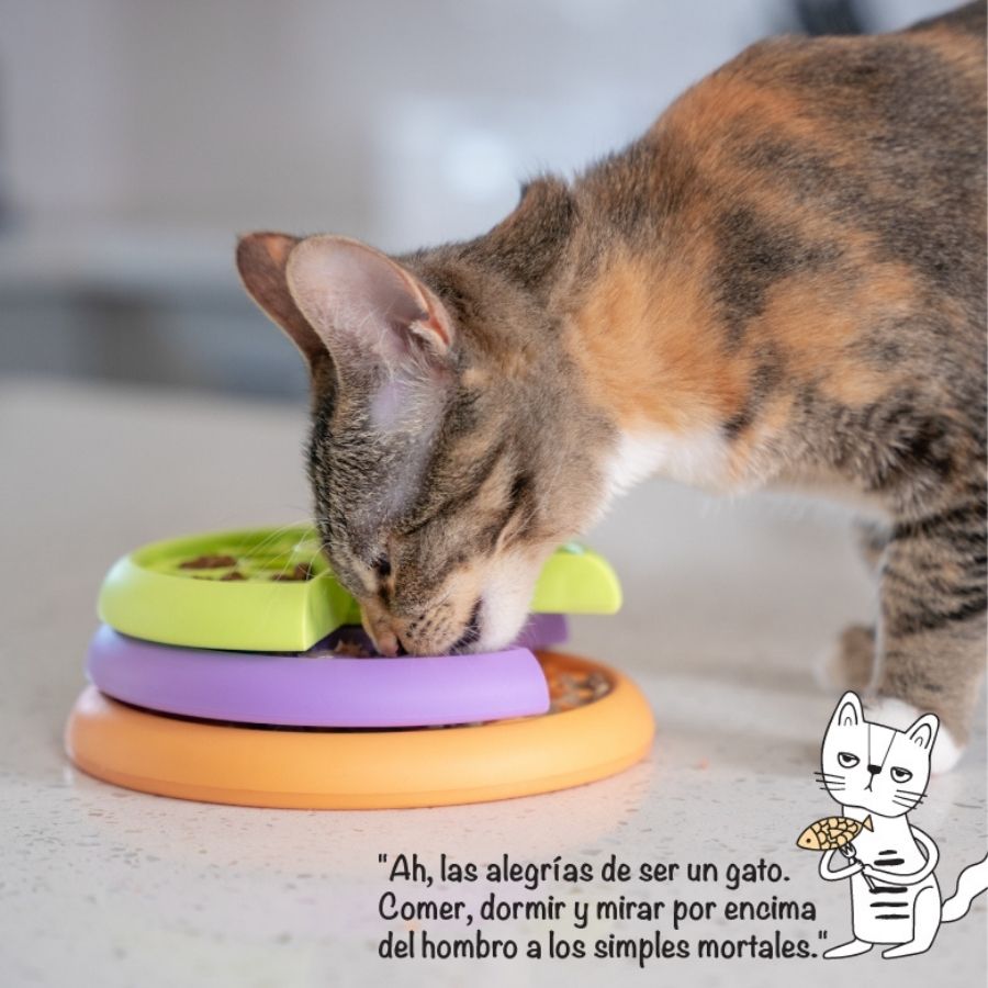 Kitty Lickin' Layers Mlt, , large image number null