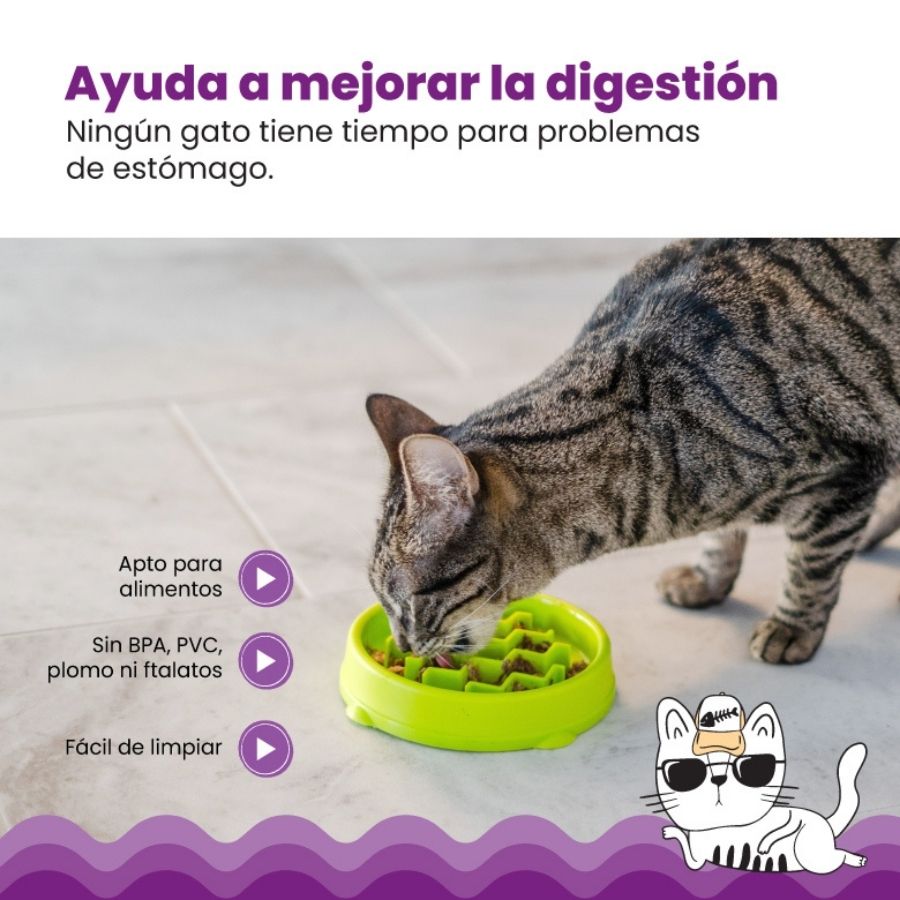 Kitty Slow Feeder Grn SM, , large image number null