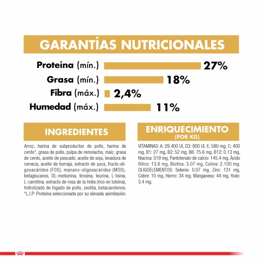 Royal Canin Cachorro Yorkshire Terrier Junior alimento para perro, , large image number null