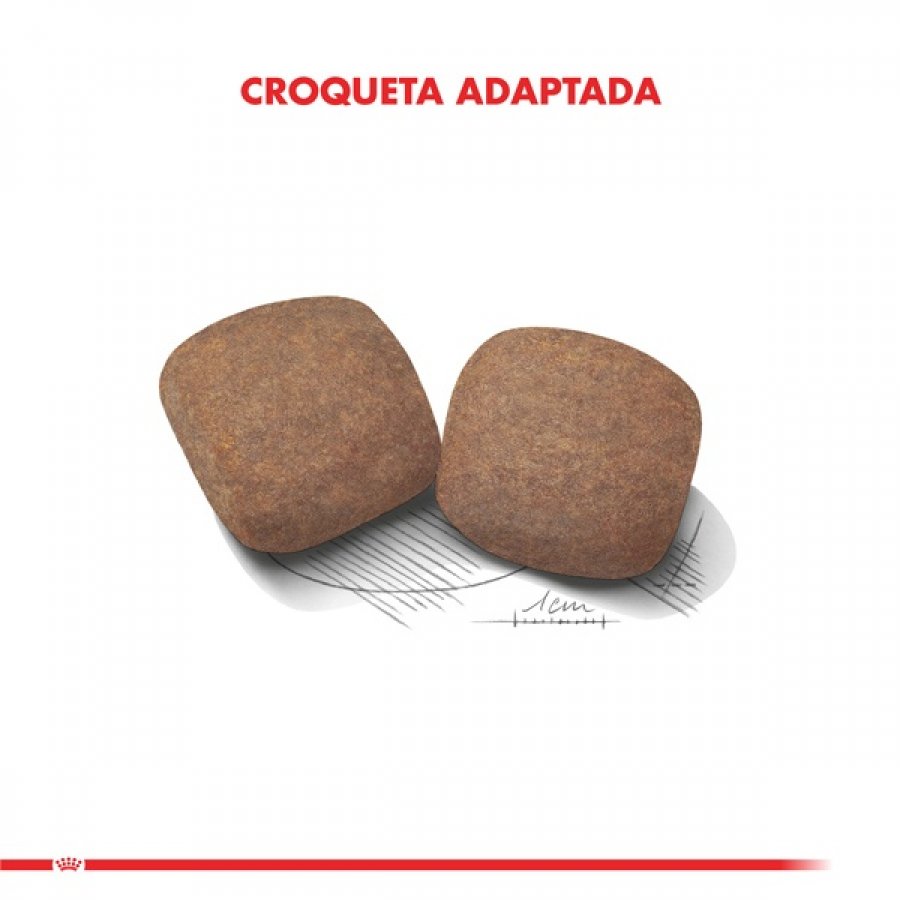 Royal Canin adulto giant adult 15 KG alimento para perro, , large image number null