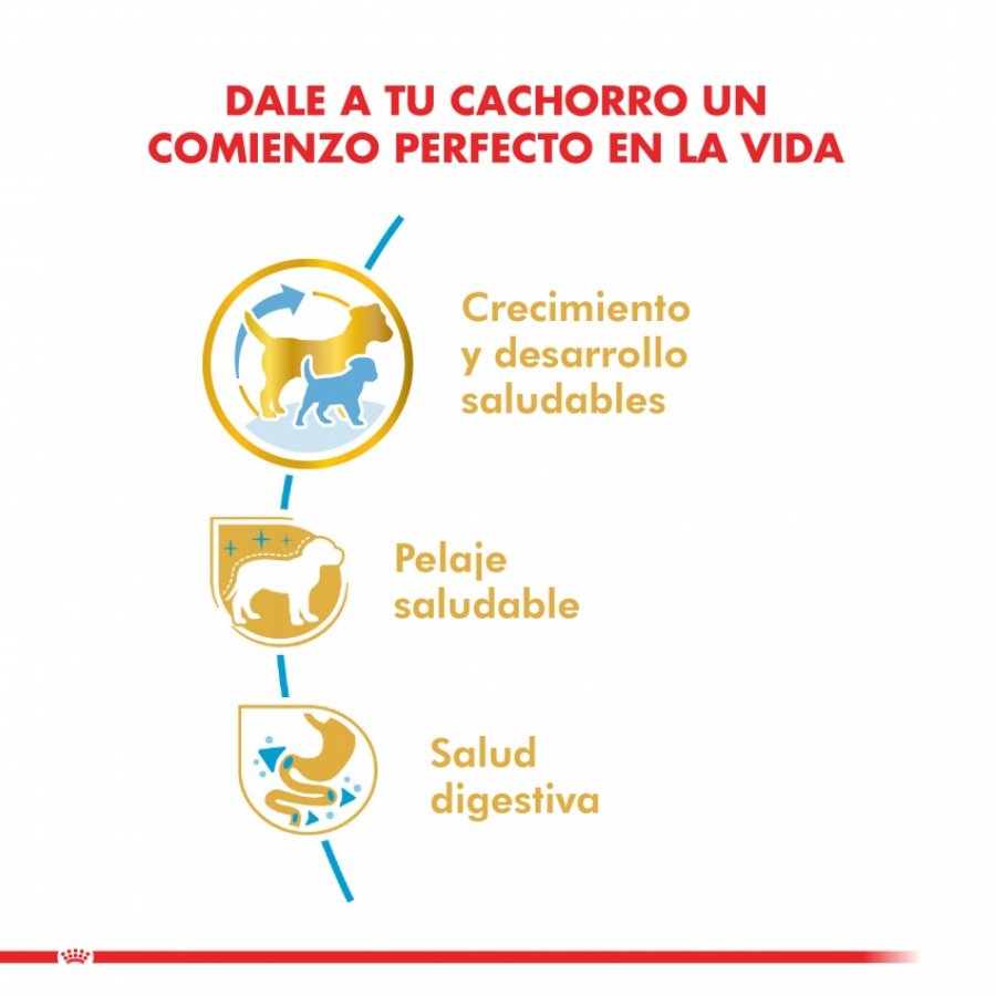 Royal Canin Cachorro Yorkshire Terrier Junior alimento para perro, , large image number null