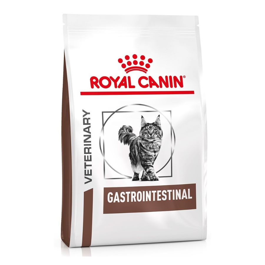 Royal Canin Alimento Seco Gato Adulto Gastro Intestinal, , large image number null