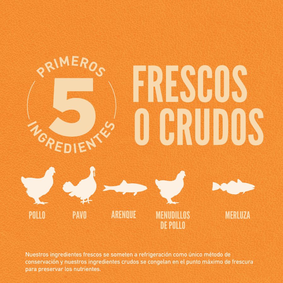 Orijen Original cat alimento seco completo para gatos, , large image number null