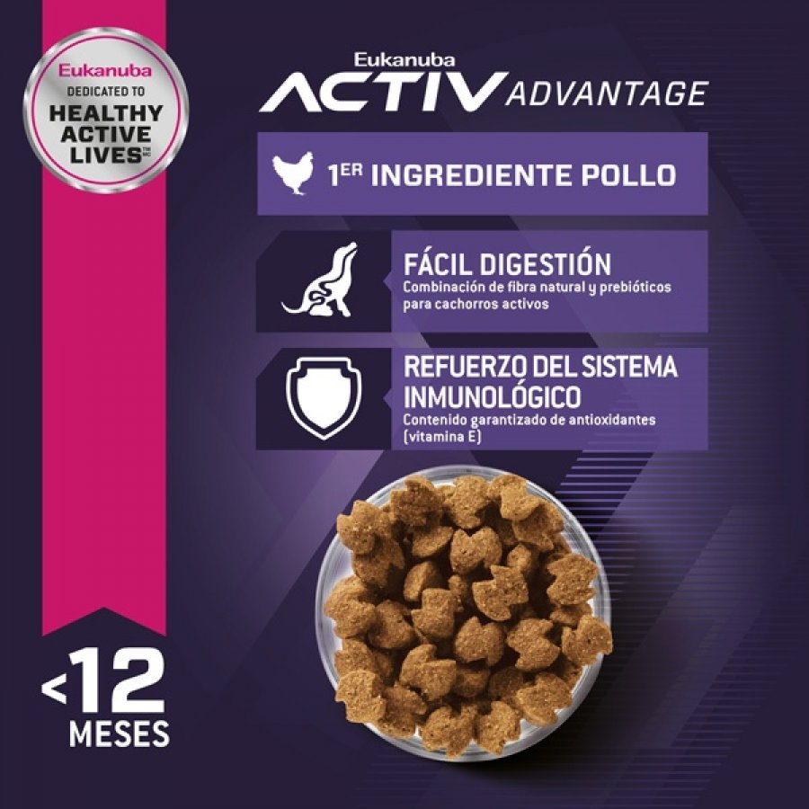 Eukanuba Puppy Large alimento para perro, , large image number null