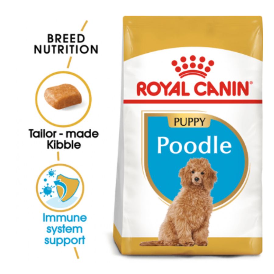Royal Canin Cachorro Poodle Junior alimento para perro, , large image number null