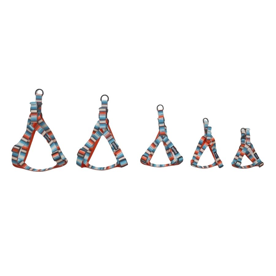 Arn&eacute;s cl&aacute;sico de rayas multicolor para perros, , large image number null