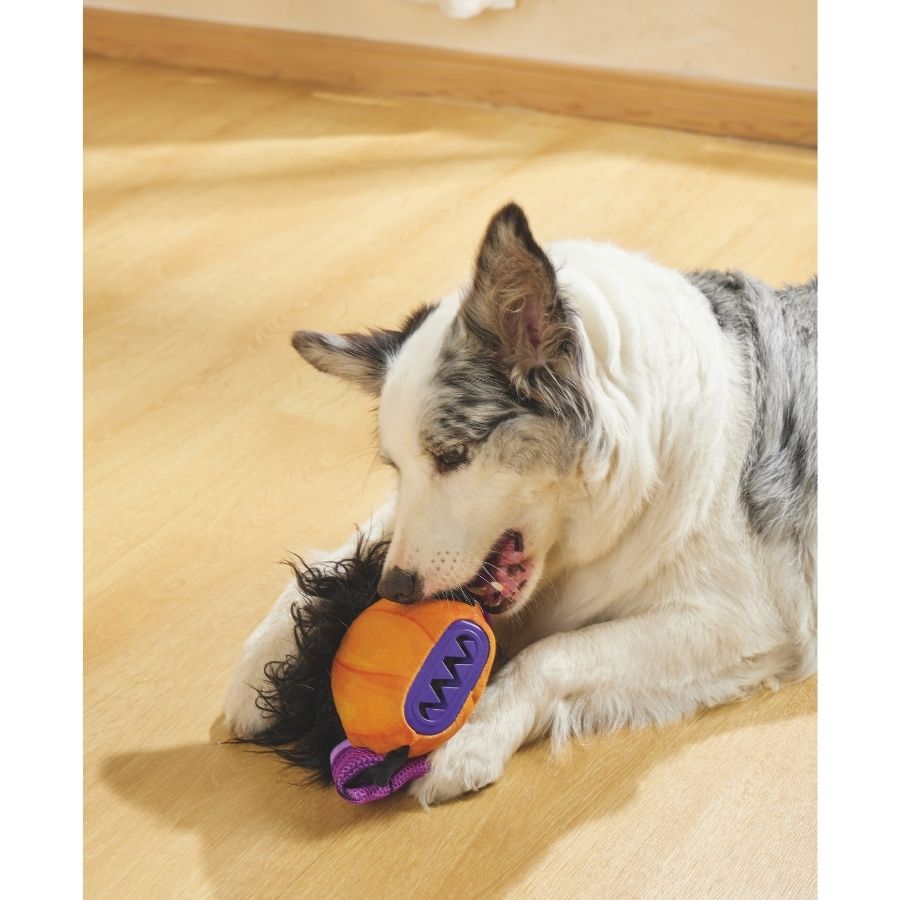 Mpets juguete dispensador de snacks bruja para perro, , large image number null