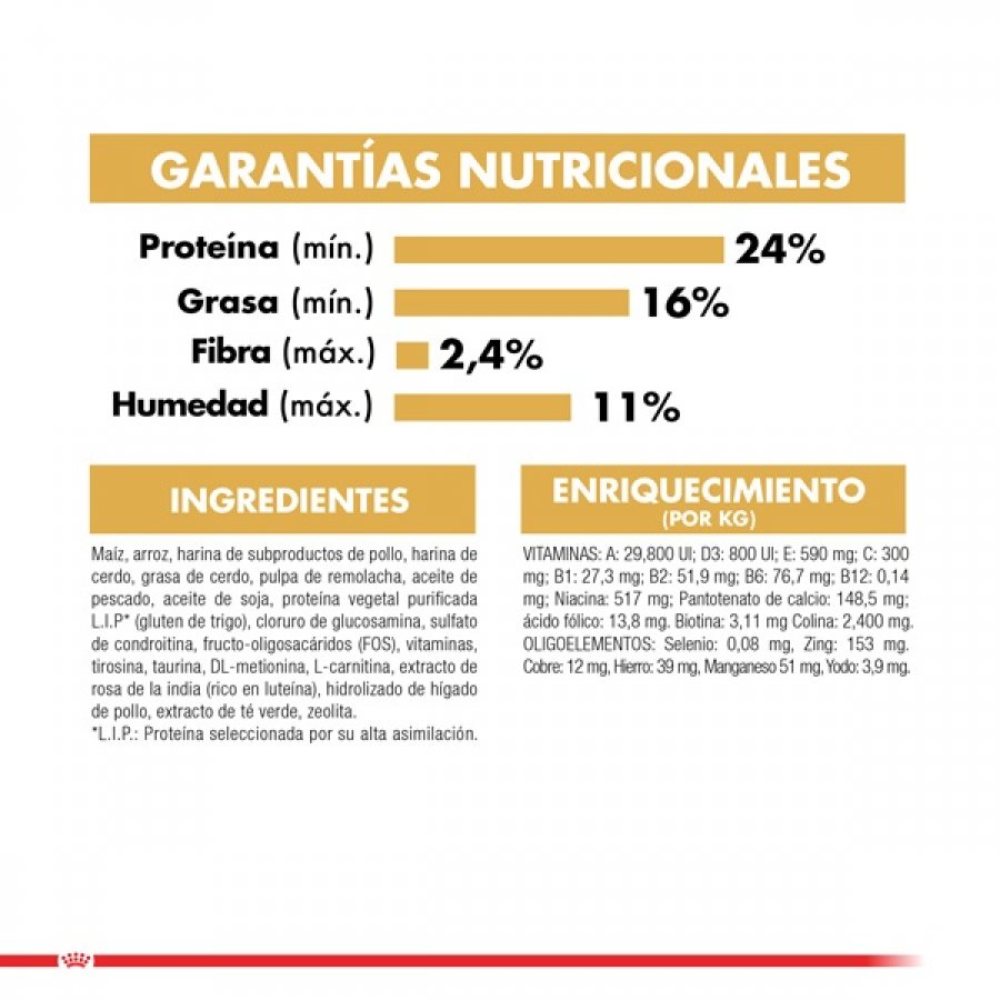 Royal Canin adulto Bulldog Frances alimento para perro, , large image number null