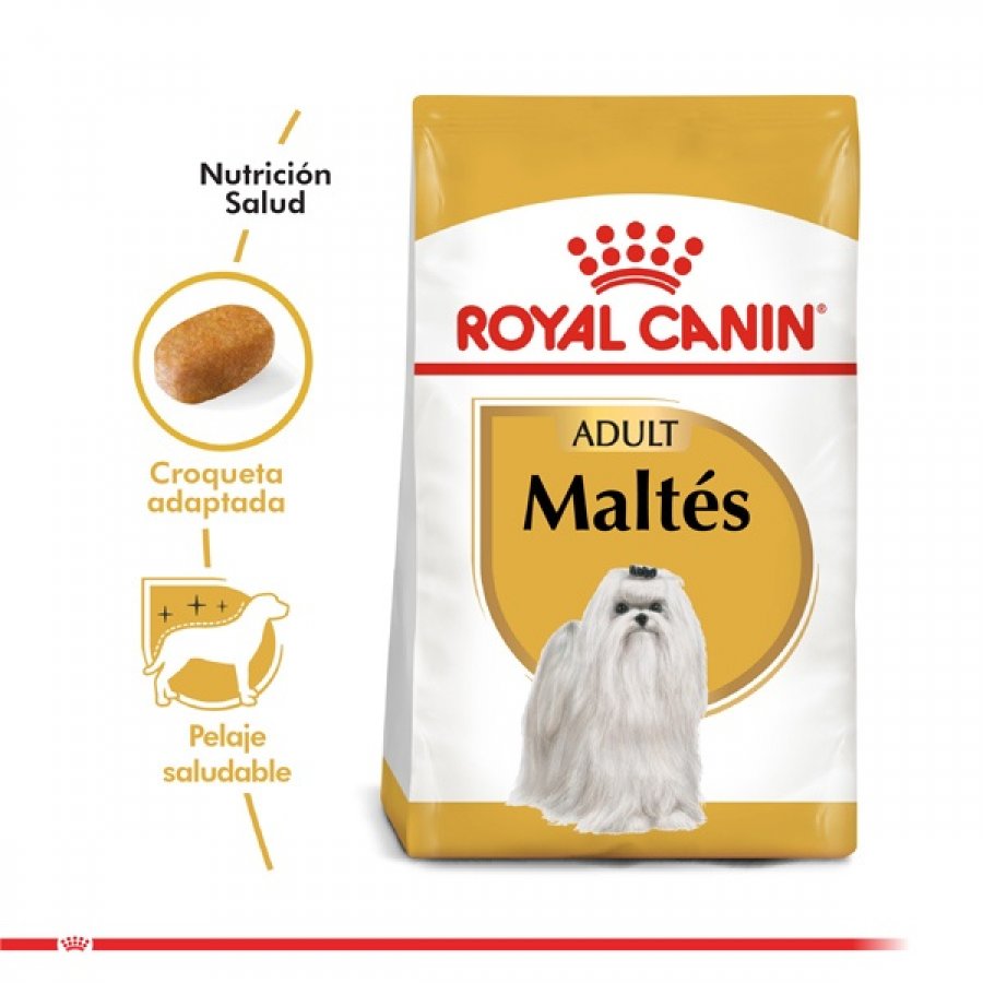 Royal Canin adulto Maltes Adult alimento para perro, , large image number null