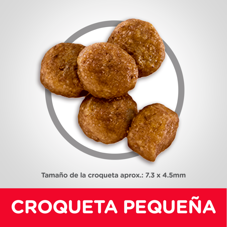Hills Puppy small bites receta de harina de pollo y cebada alimento para perro, , large image number null