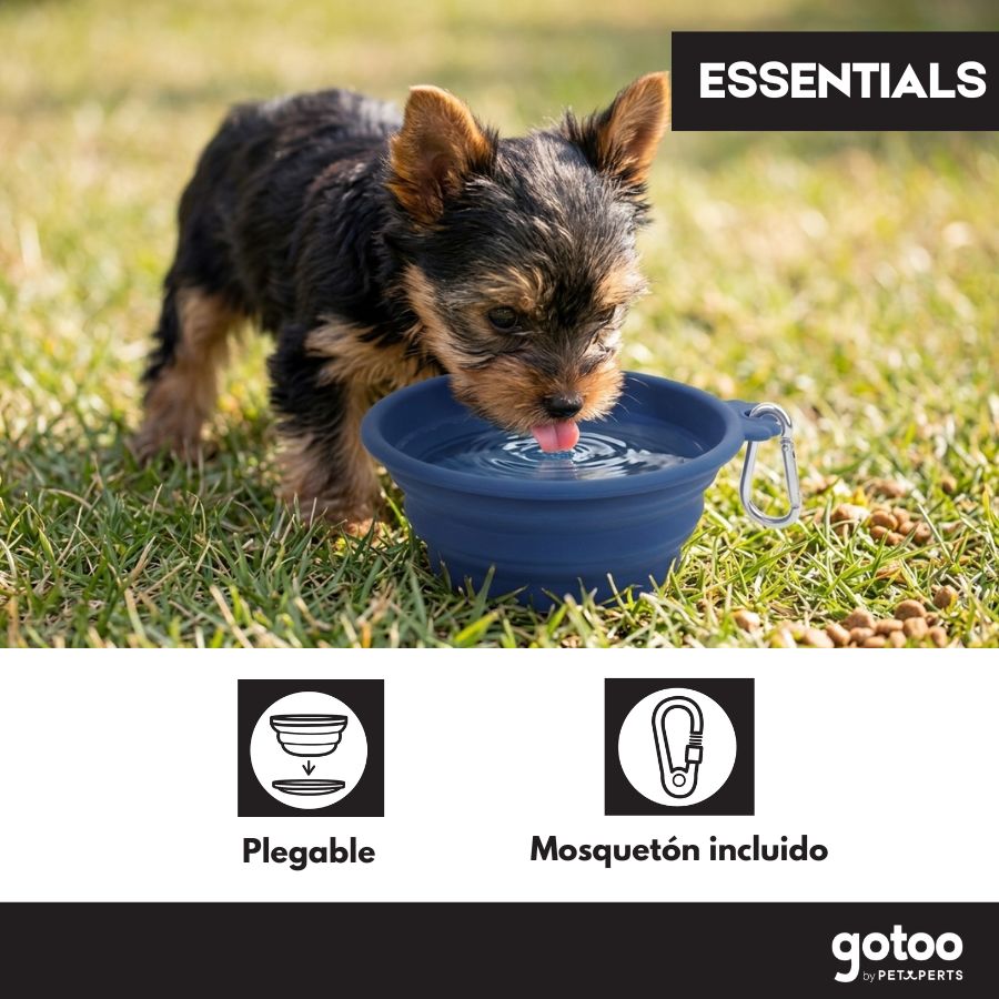 Gotoo plato plegable paw para mascotas color azul, , large image number null