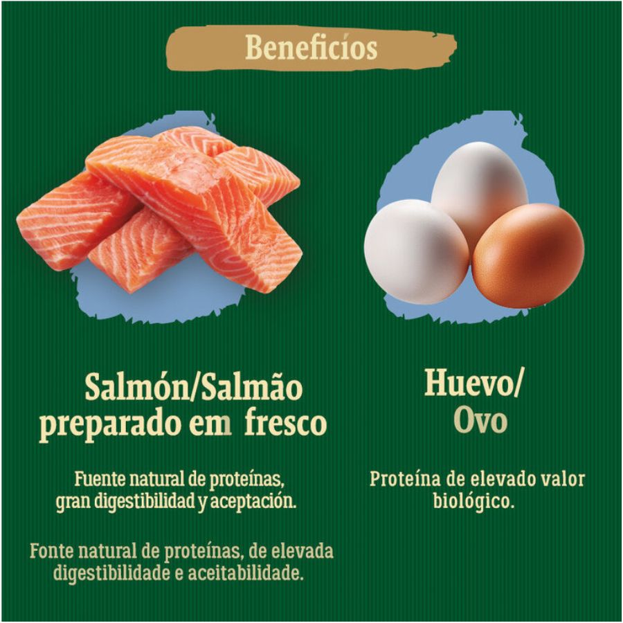 True Origins Wild Dog Adult Pacific alimento para perro, , large image number null
