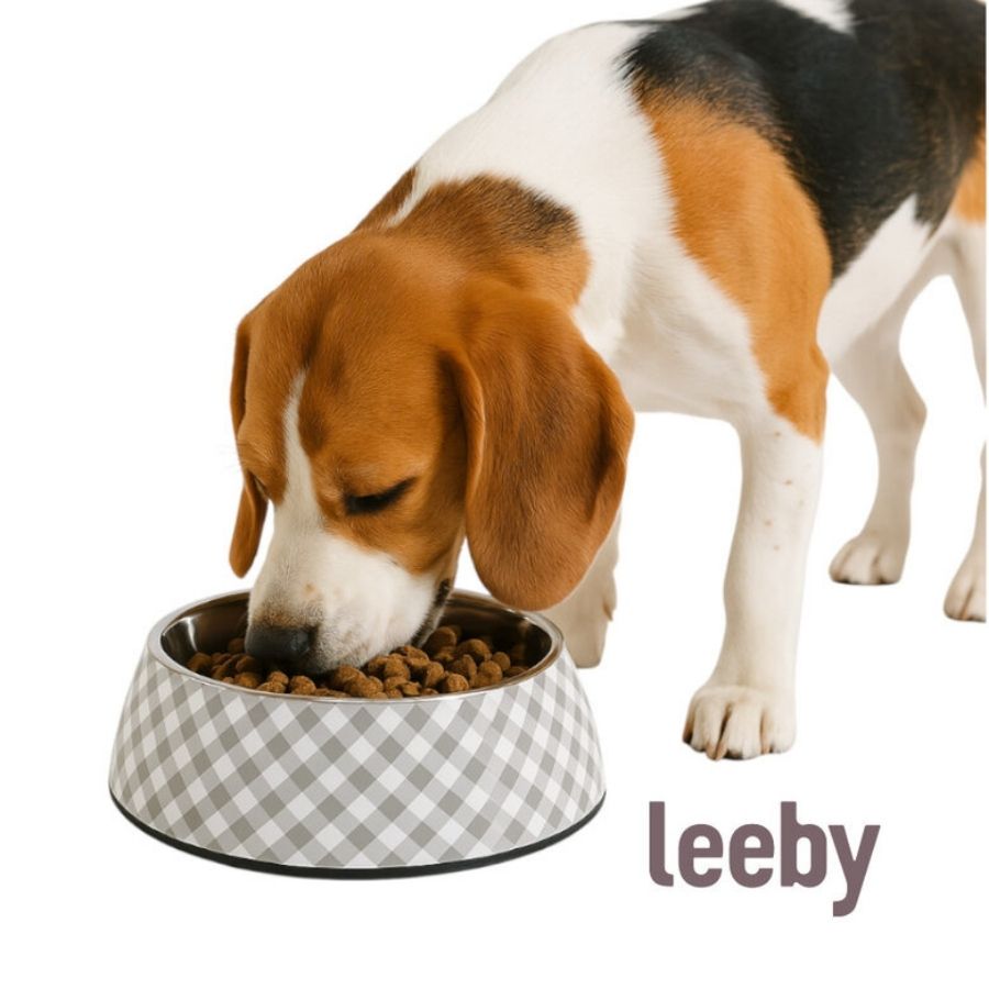 Leeby dog premium greyvichy bowl, , large image number null