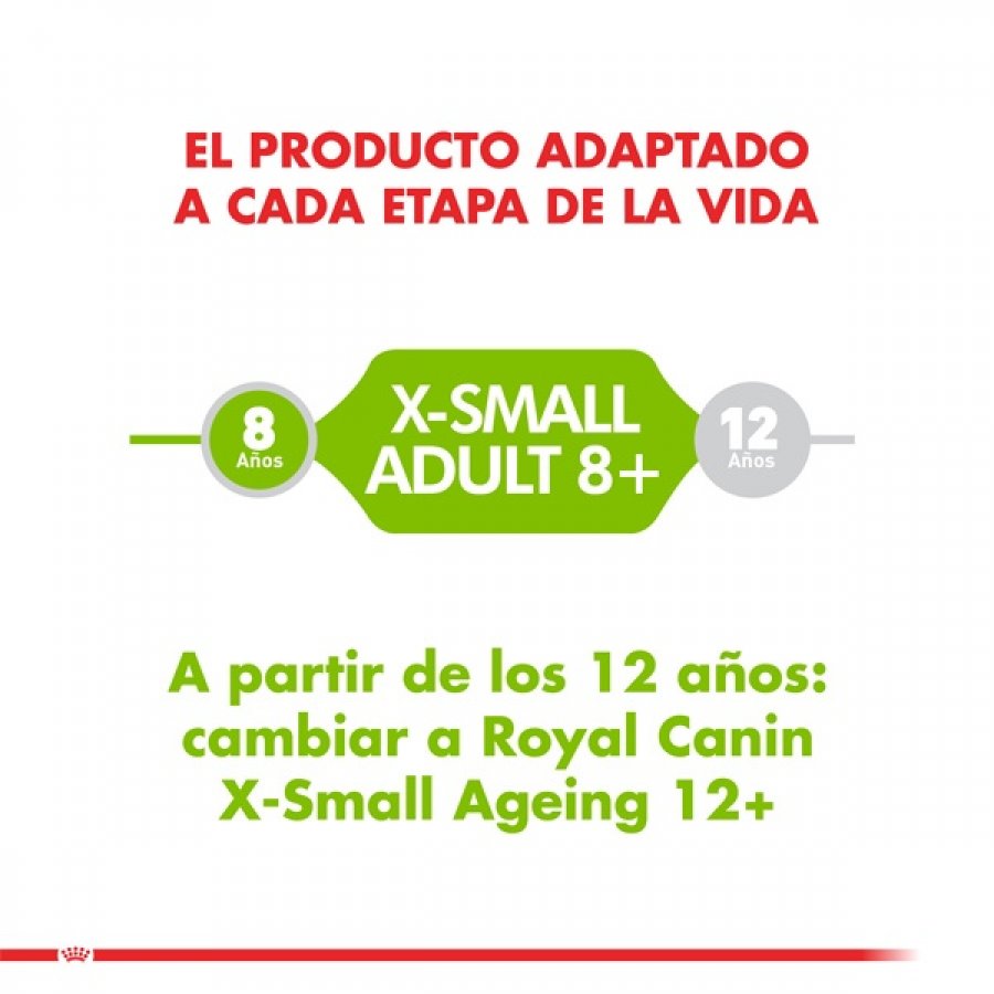 Royal canin alimento seco perro adulto x-Small adult 8+ 1KG, , large image number null