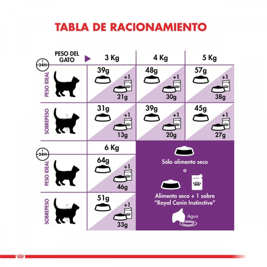 Royal Canin adulto Sensible alimento para gato, , large image number null