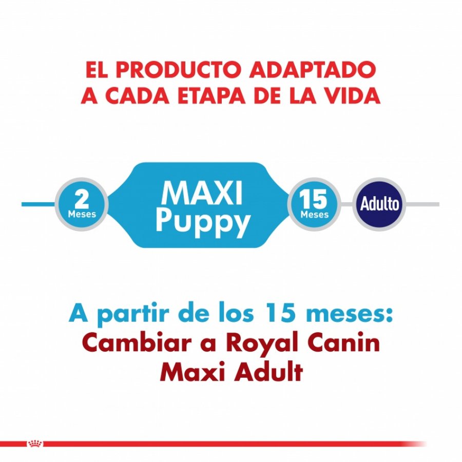 Royal Canin Cachorro Maxi Puppy alimento para perro, , large image number null