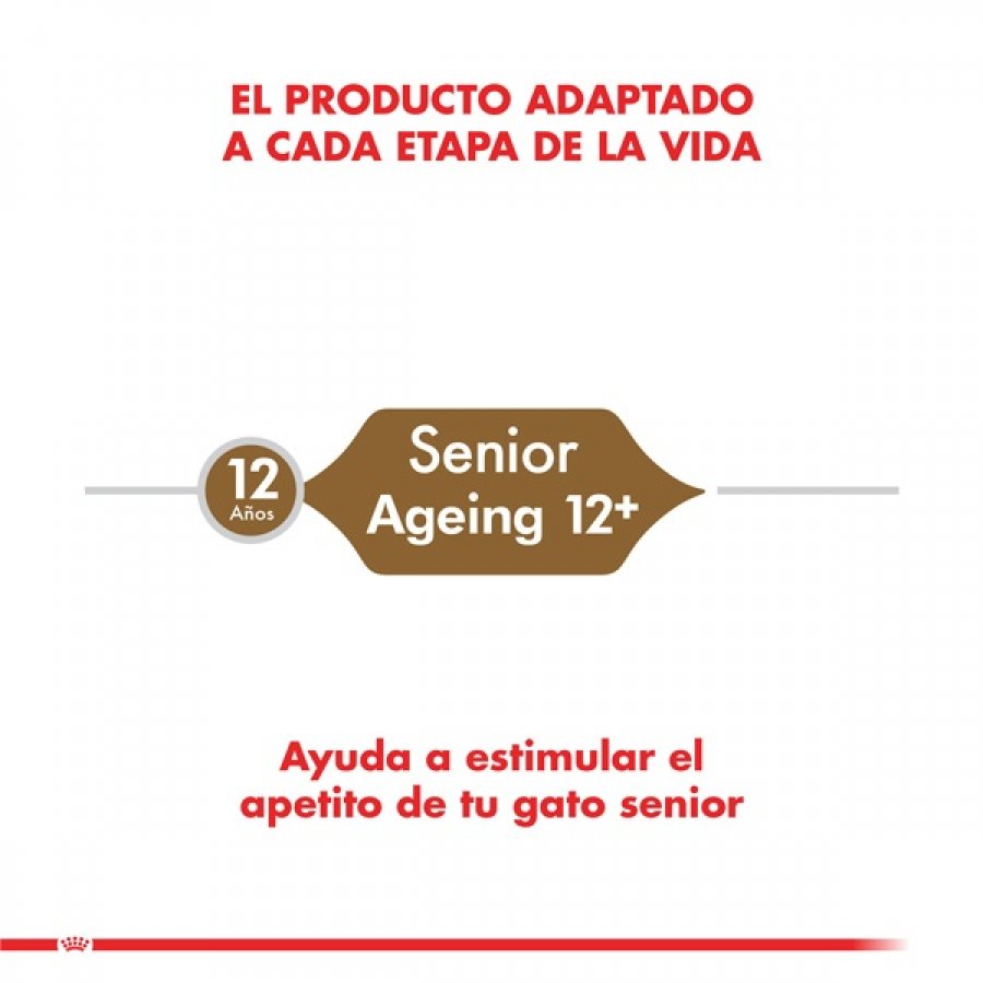 Royal Canin adulto ageing 12+ 2KG alimento para gato, , large image number null