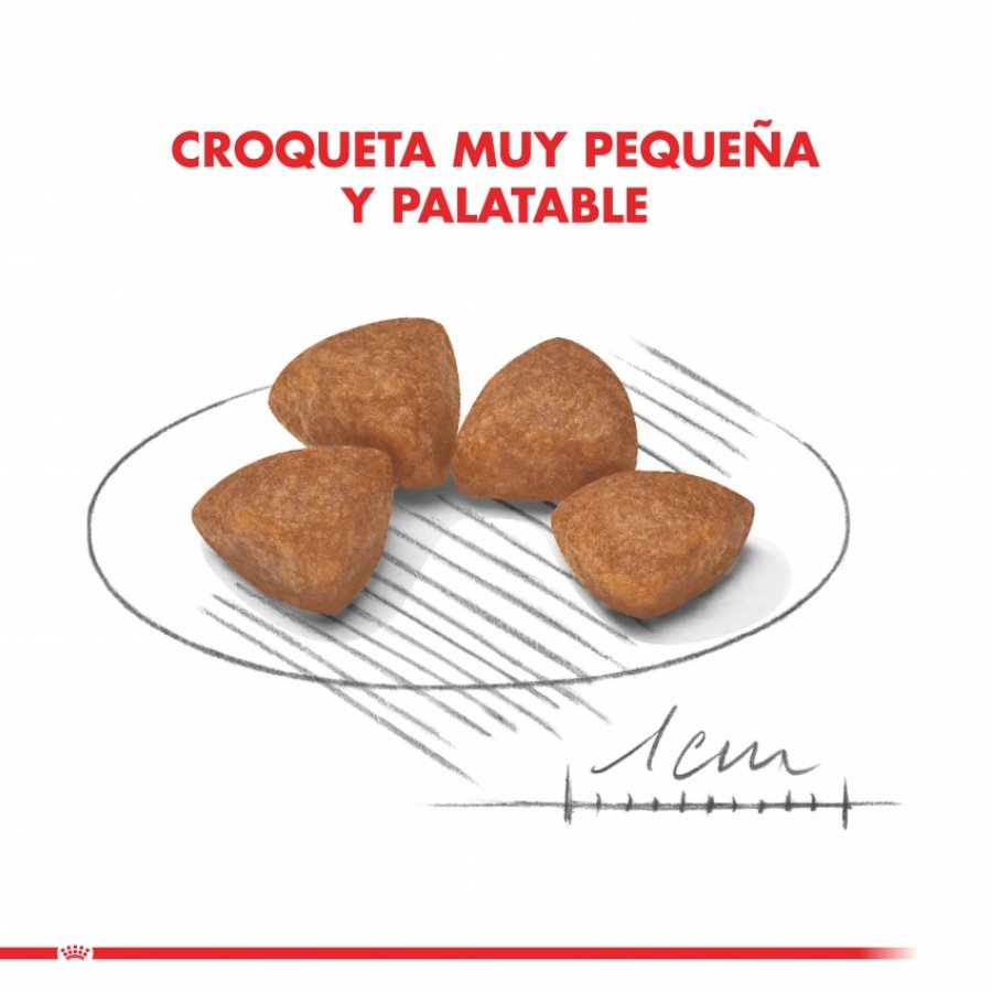 Royal Canin Cachorro X-Small Puppy alimento para perro, , large image number null