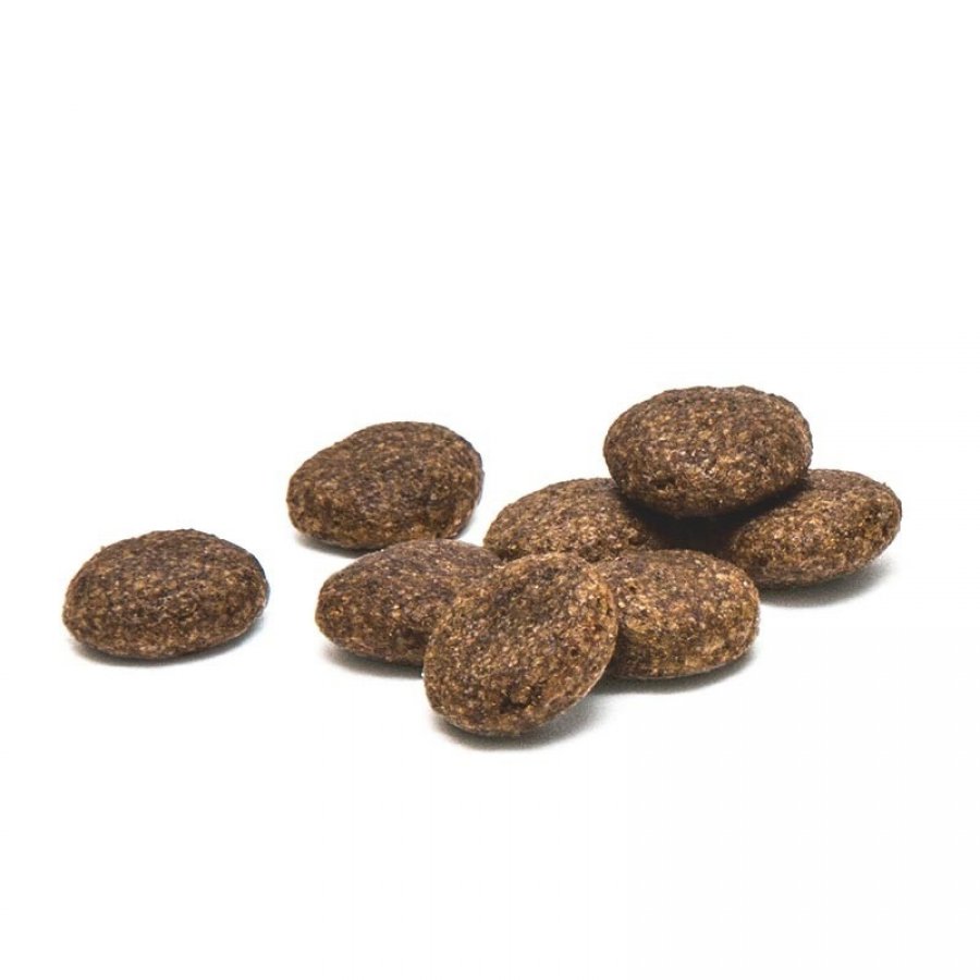 Plaqueoff snack perro 60 GR, , large image number null