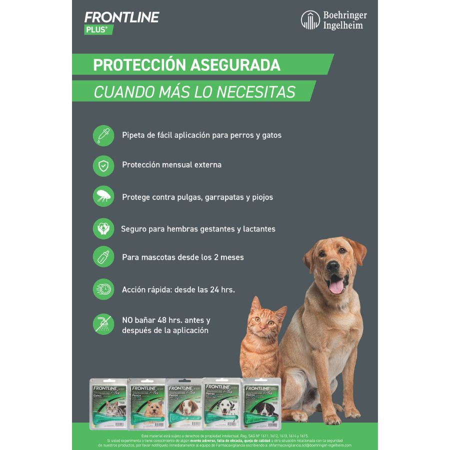 Frontline p. gato 0.5 ML, , large image number null