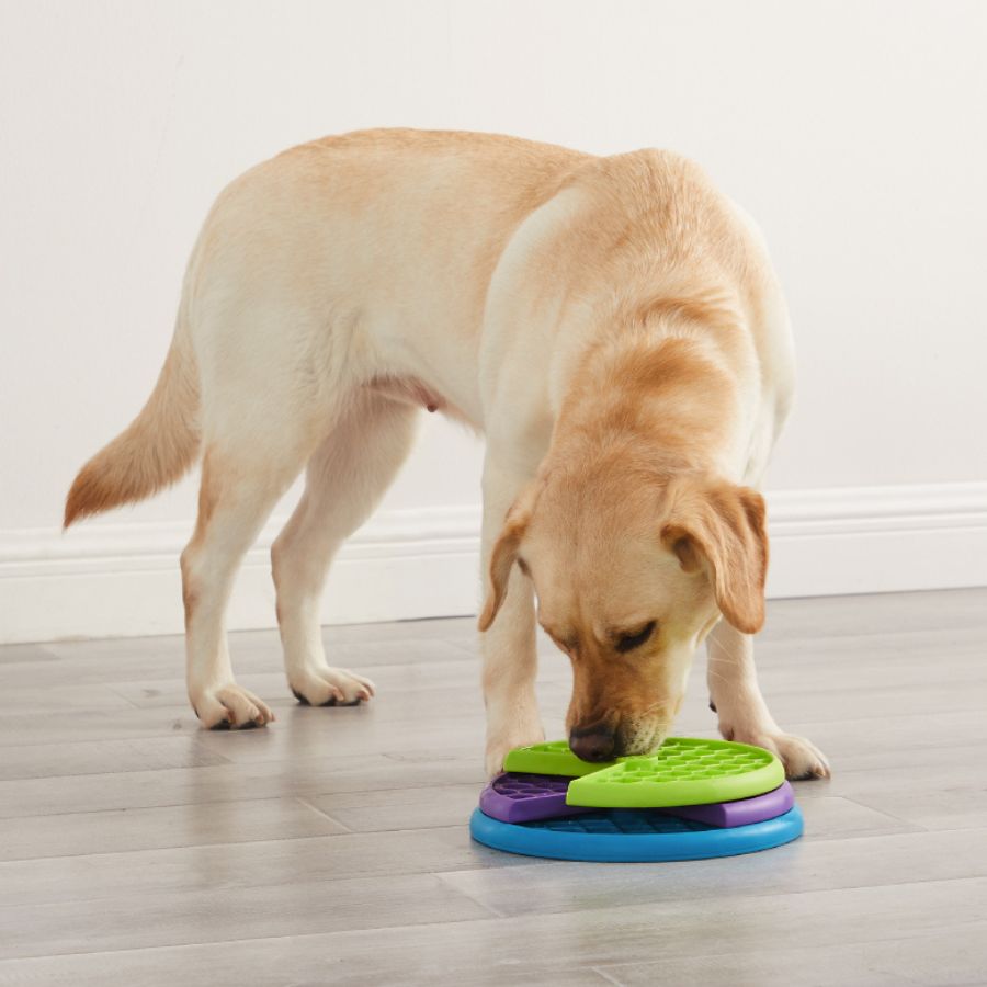 Outward Hound Nina Ottosson Lickin' Layers Juguete Interactivo con Chuches para perros, , large image number null