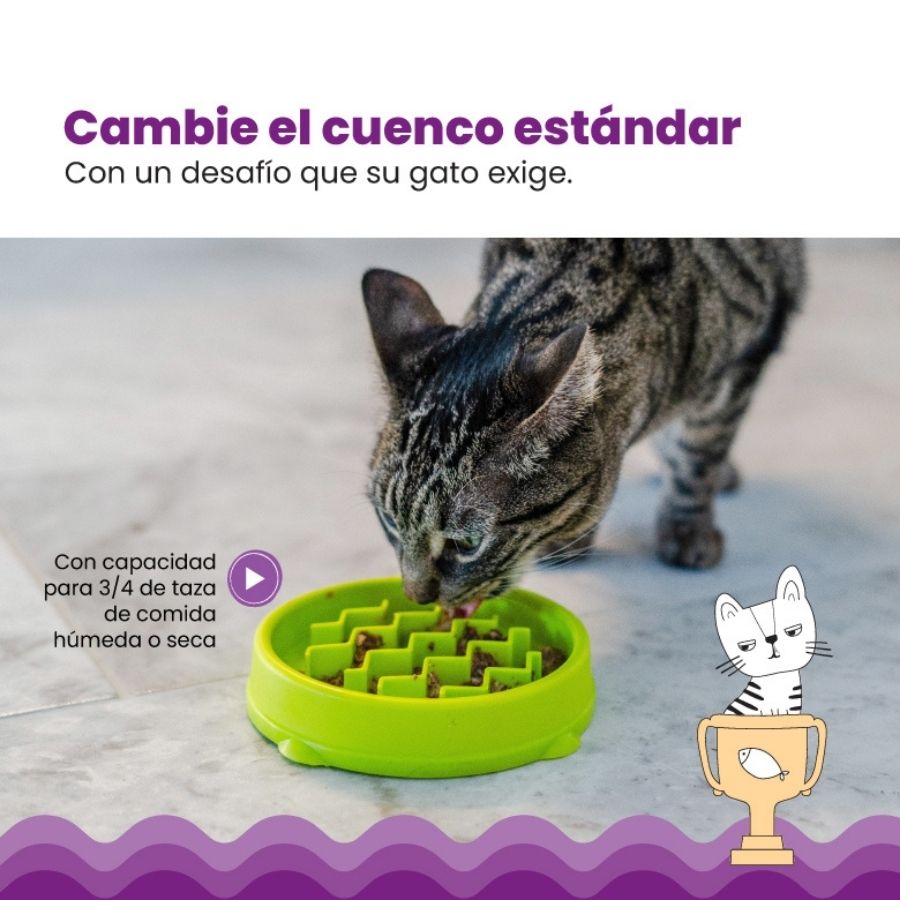 Kitty Slow Feeder Grn SM, , large image number null