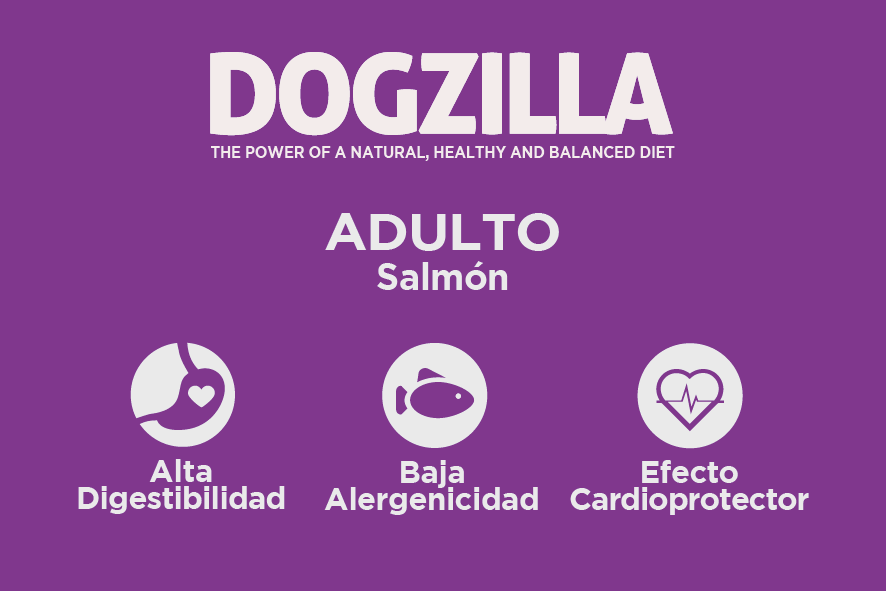 Dogzilla adult sabor salm&oacute;n alimento seco para perros adultos, , large image number null