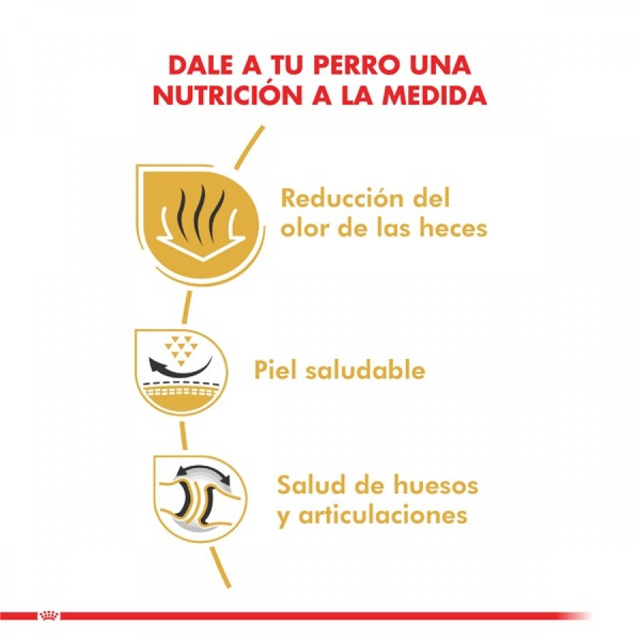 Royal Canin adulto bulldog adult 12 KG alimento para perro, , large image number null