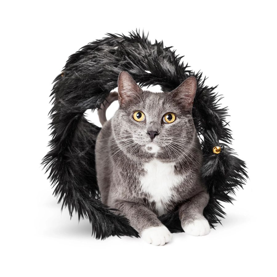 Playology juguete interactivo t&uacute;nel suave para gato, , large image number null