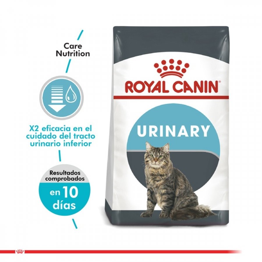 Royal Canin Alimento Seco Gato Adulto Urinary Care