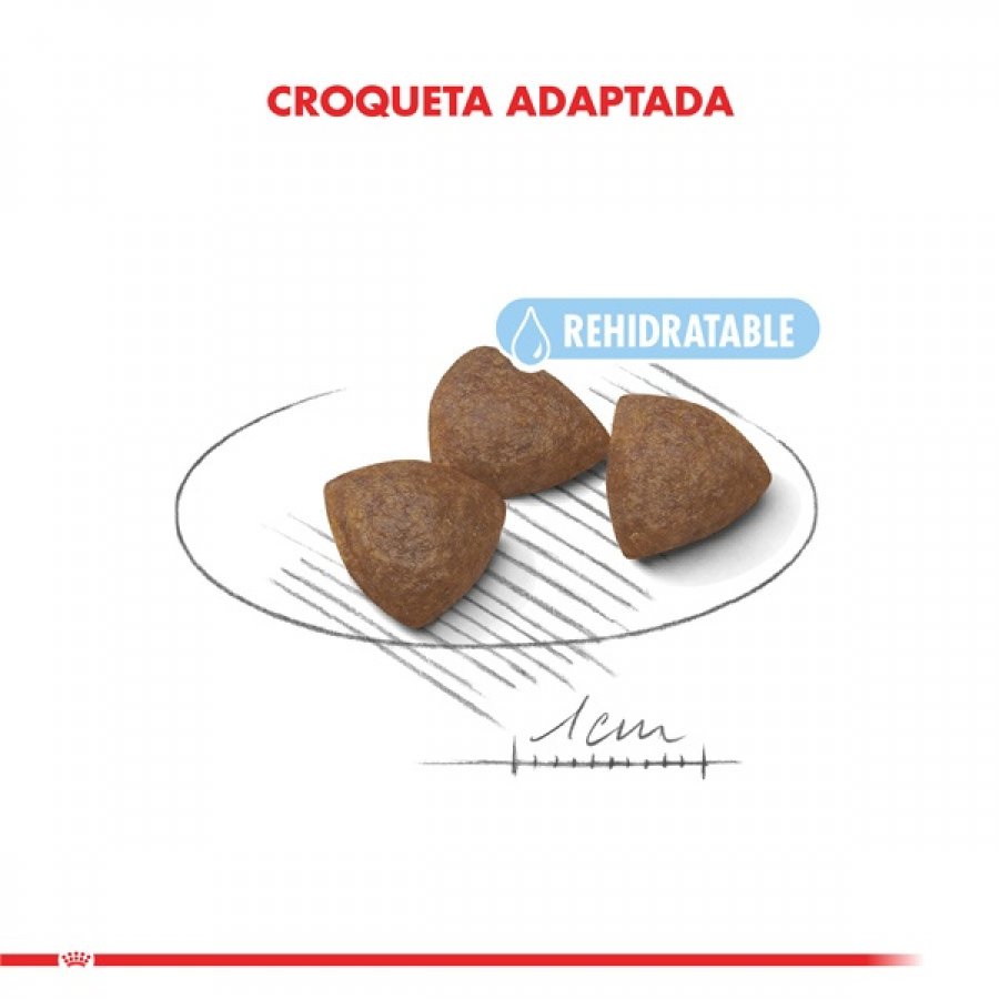 Royal Canin Cachorro Medium Starter alimento para perro, , large image number null