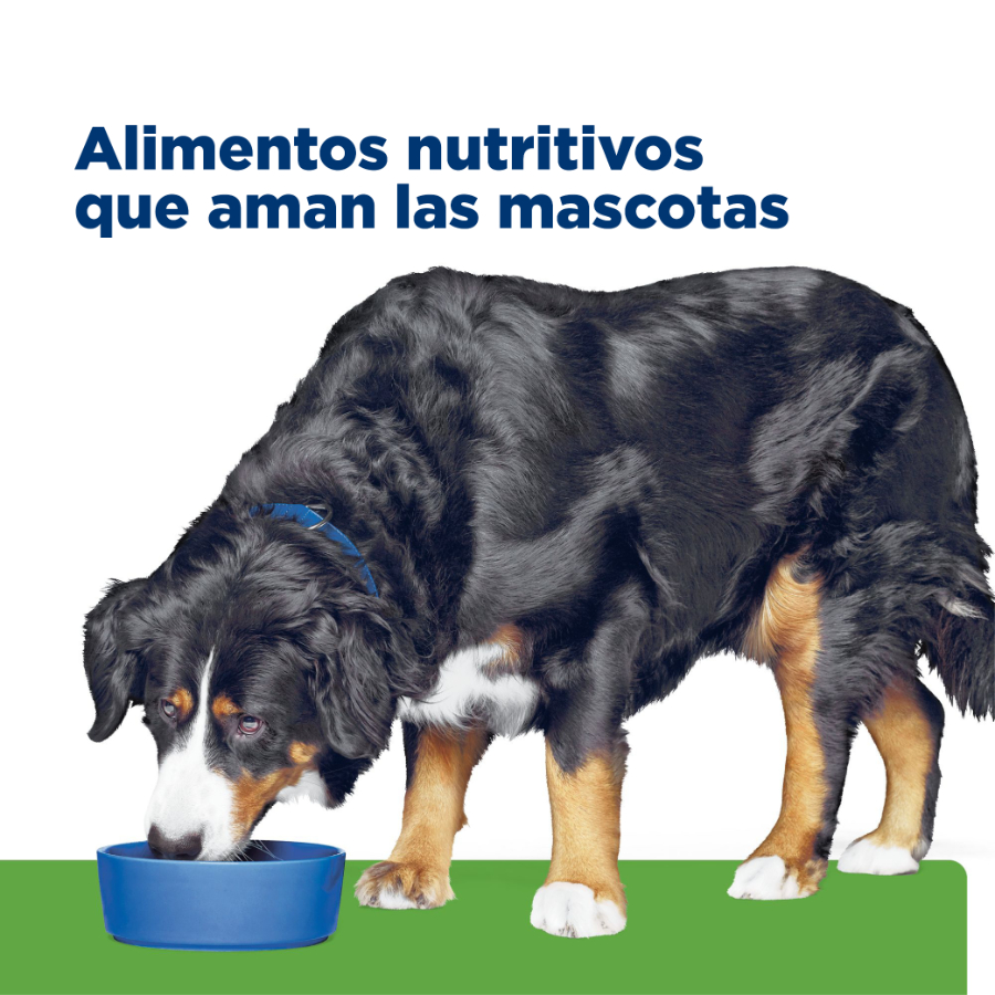 Hills Canine Metabolic + Mobility, , large image number null
