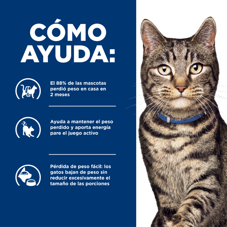 Hills Feline Metabolic alimento para gatos, , large image number null