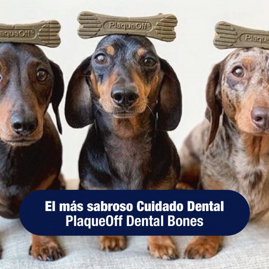 Plaqueoff Bones Para Perro, , large image number null