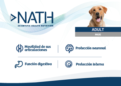Nath adulto Maxi sabor pollo y arroz integral alimento para perros, , large image number null