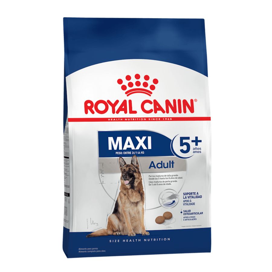 Royal Canin adulto Maxi adulto 5+ alimento para perro